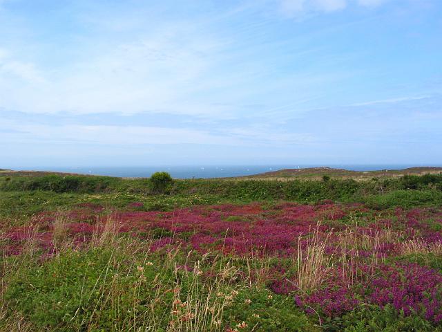 250 Pte du Raz.JPG